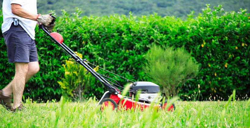Battery vs Petrol Lawn Mower: Which Should You Choose in 2026?
