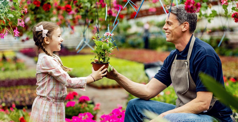 Healthy Garden