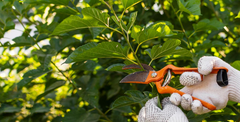 Types of Cuttings